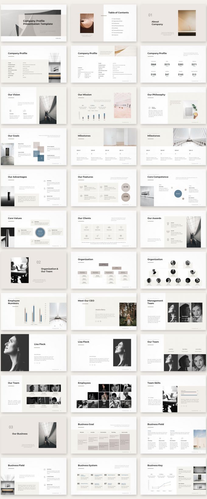 Company Profile Presentation Template - Download PowerPoint