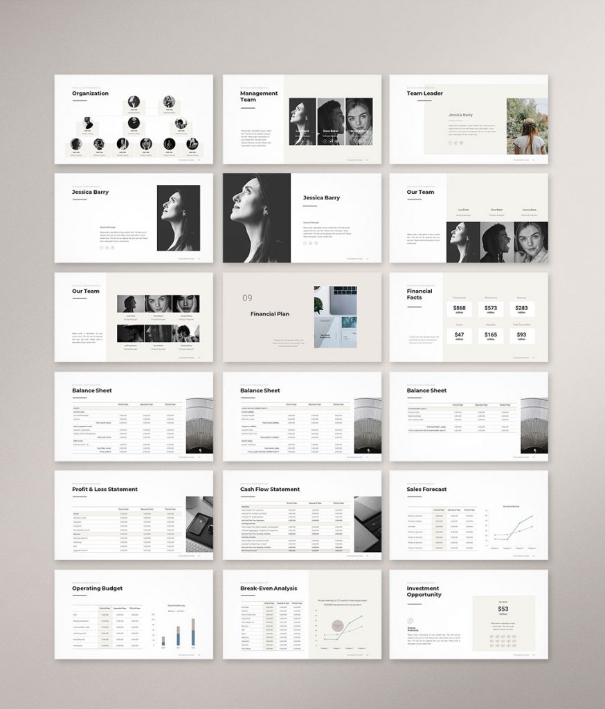 Business Plan PowerPoint Presentation Template